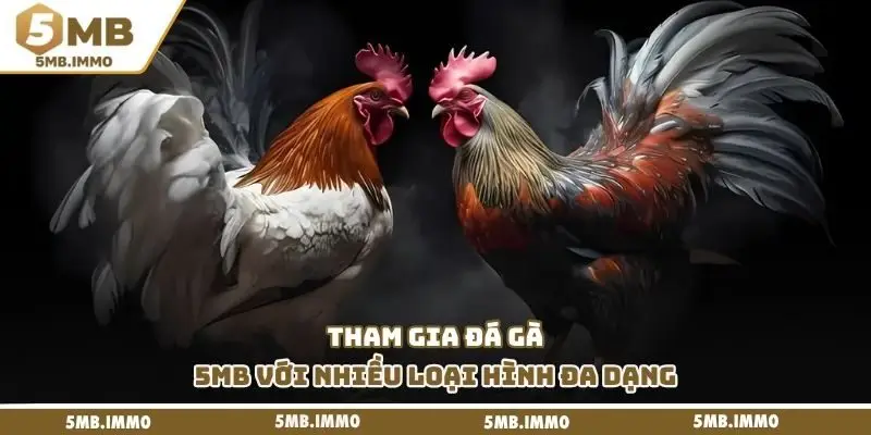 Tham gia đá gà 5MB với nhiều loại hình đa dạng