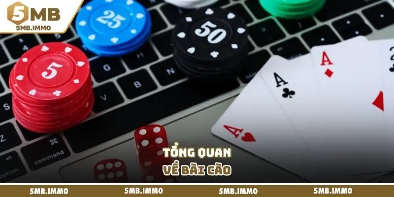 Tổng quan về bài cào