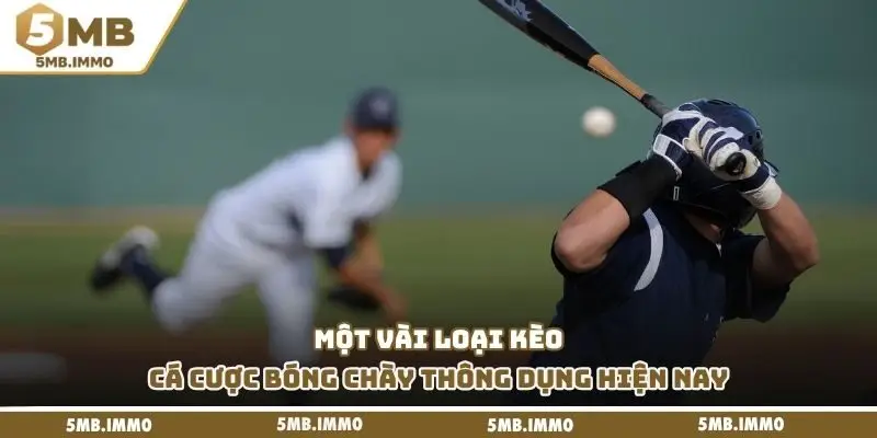 Một vài loại kèo cá cược bóng chày thông dụng hiện nay