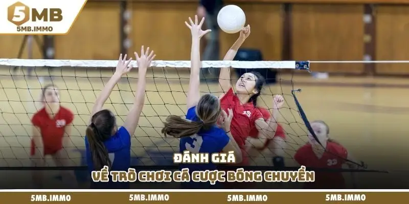 Đánh giá về trò chơi cá cược bóng chuyền 