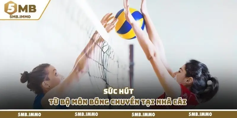 Sức hút từ bộ môn bóng chuyền tại nhà cái 