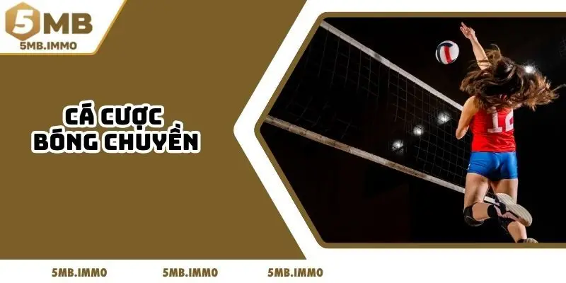 Cá Cược Bóng Chuyền 5MB - 3 Yếu Tố Làm Chủ Cuộc Chơi