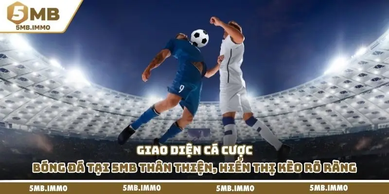 Giao diện cá cược bóng đá tại 5MB thân thiện, hiển thị kèo rõ ràng