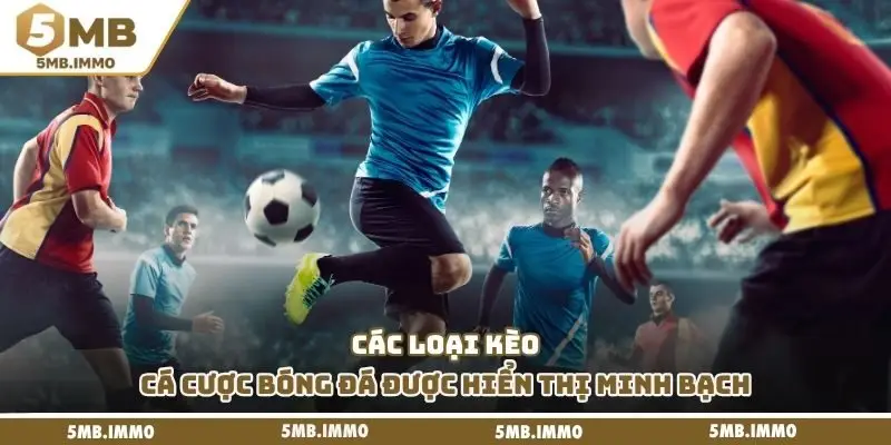Các loại kèo cá cược bóng đá được hiển thị minh bạch