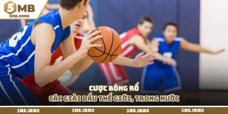 Cược bóng rổ các giải đấu thế giới, trong nước