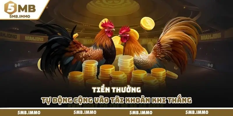 Tiền thưởng tự động cộng vào tài khoản khi thắng