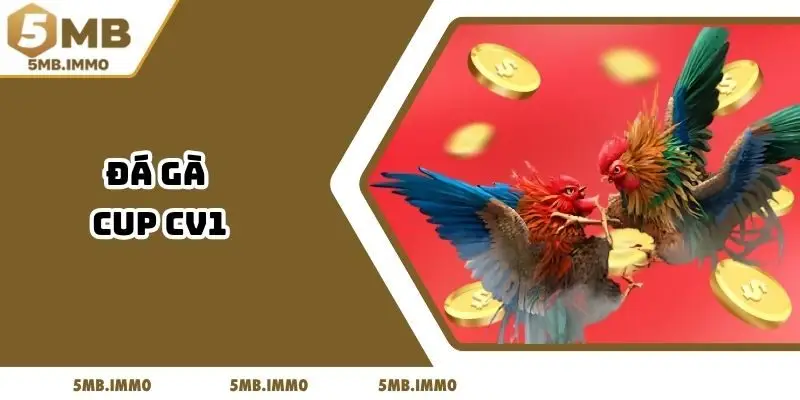 Đá Gà Cup CV1 Tại 5MB - Chứng Kiến Màn So Tài Nảy Lửa