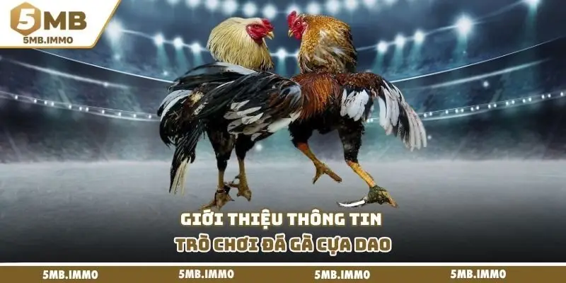 Giới thiệu thông tin trò chơi đá gà cựa dao