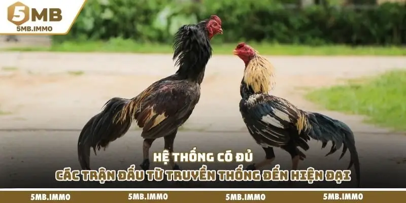 Hệ thống có đủ các trận đấu từ truyền thống đến hiện đại