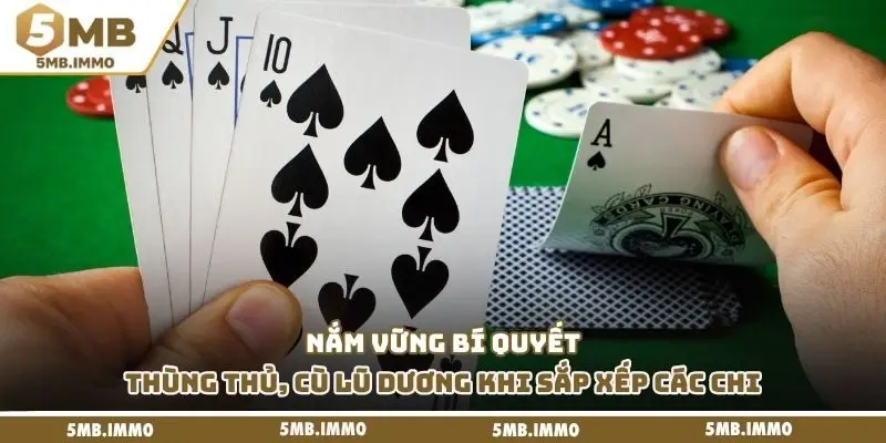 Nắm vững bí quyết “thùng thủ, cù lũ dương” khi sắp xếp các chi