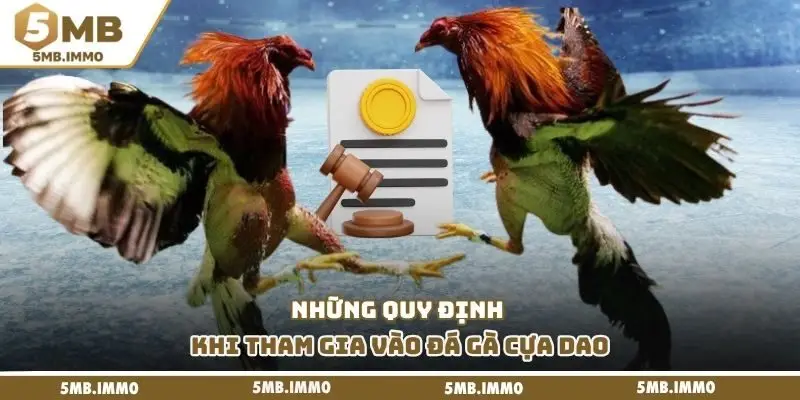 Những quy định khi tham gia vào đá gà cựa dao