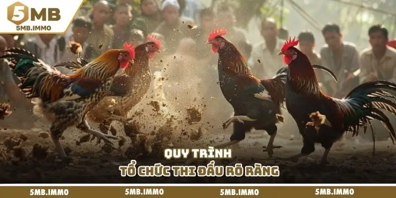 Quy trình tổ chức thi đấu rõ ràng