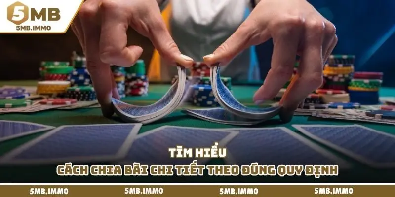 Tìm hiểu cách chia bài chi tiết theo đúng quy định